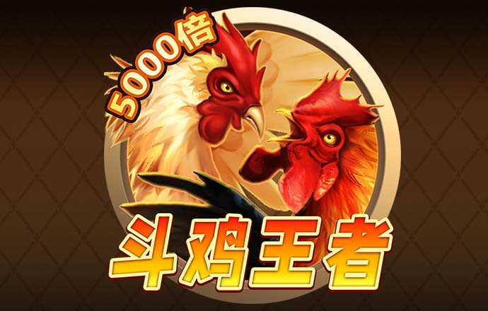五五世纪官网